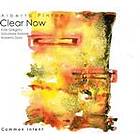 Alberto Pinton Clear Now Common Intent CD