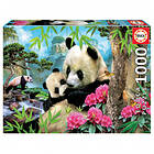 Educa Puslespill: Morning Panda 1000 Brikker
