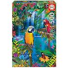 Educa Pussel: Bird tropical land 500 Bitar