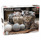 Tactic Puslespill: Kittens 1000 brikker