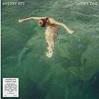 Mystery Jets Twenty One Limited Edition LP