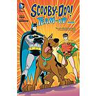 Sholly Fisch: Scooby-Doo Team-Up
