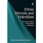 Yonatan Tesfaye Fessha: Ethnic Diversity and Federalism