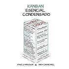 David J Anderson, Andy Carmichael: Kanban Esencial Condensado