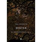 Vida Langroudi: Dikter En sammanfattning av ...