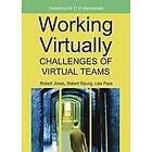: Working Virtually
