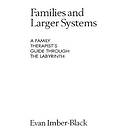 Evan Imber-Black: Families and Larger Systems