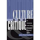 Jere Paul Surber: Culture And Critique