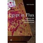 Adel Iskandar: Egypt in Flux