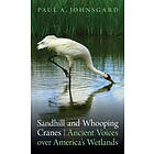 Paul A Johnsgard: Sandhill and Whooping Cranes