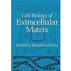 Elizabeth D Hay: Cell Biology of Extracellular Matrix