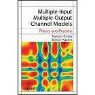 N Costa: Multiple-Input Multiple-Output Channel Models Theory and Practice