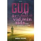Samuel Teglund: Gud är ändå vid min sida tröst, perspektiv och hopp när livet stormar