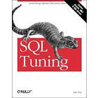 Dan Tow: SQL Tuning