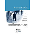 Herzfeld: Anthropology: Theoretical Practice in Culture and Society