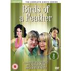 Birds of a Feather - Series 8 (UK) (DVD)