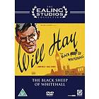 Black Sheep of Whitehall (UK) (DVD)