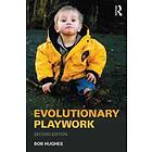 Bob Hughes: Evolutionary Playwork