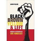Laura Pulido: Black, Brown, Yellow, and Left