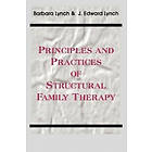 Barbara Lynch, Edward Lynch: Principles And Practice Of Structural Family Therapy