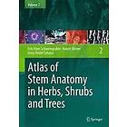 Fritz Hans Schweingruber, Annett Boerner, Ernst-Detlef Schulze: Atlas of Stem Anatomy in Herbs, Shrubs and Trees