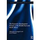 Alessandro Romagnoli, Luisa Mengoni: The Economic Development Process in the Middle East and North Africa