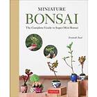 Terutoshi Iwai: Miniature Bonsai