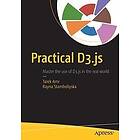 Tarek Amr, Rayna Stamboliyska: Practical D3.js
