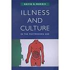 David B Morris: Illness and Culture in the Postmodern Age