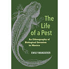 Emily Wanderer: The Life of a Pest
