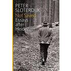 P Sloterdijk: Not Saved Essays After Heidegger