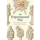 Jennifer M Rampling: The Experimental Fire