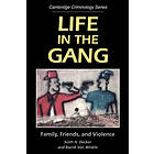 Scott H Decker: Life in the Gang