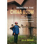 Julia Chuang: Beneath the China Boom