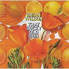 Brian Wilson That Lucky Old Sun 2 CD / DVD