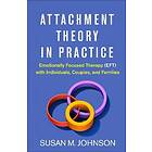 Attachment Theory in Practice