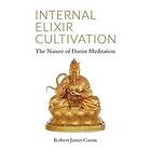 Internal Elixir Meditation: The Nature of Daoist Meditation