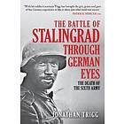 The Battle of Stalingrad Through German Eyes