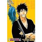 Bleach (3-in-1 Edition), Vol. 10