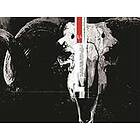 The Black Monday Murders Volume 1