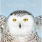 Snowy Owl – A Year in the Life