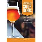 American Sour Beer