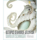 Octopus, Seahorse, Jellyfish