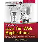 Professional Java for Web Applications