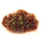 Fly The Co Cactus Chenille 15mm Brown 1pk