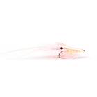 Guideline Pattegrisen Salmon Pink #6