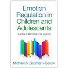 Michael A Southam-Gerow: Emotion Regulation in Children and Adolescents