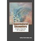 Faithe Reid-Liburd M S: Supernatural Encounters: Angel Stories to Inspire