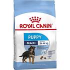 Royal Canin SHN Maxi Puppy 10kg