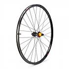 Progress Evo 29´´ Boost Disc Tubeless Mtb Rear Wheel Svart 12 x 148 mm / Sram XD